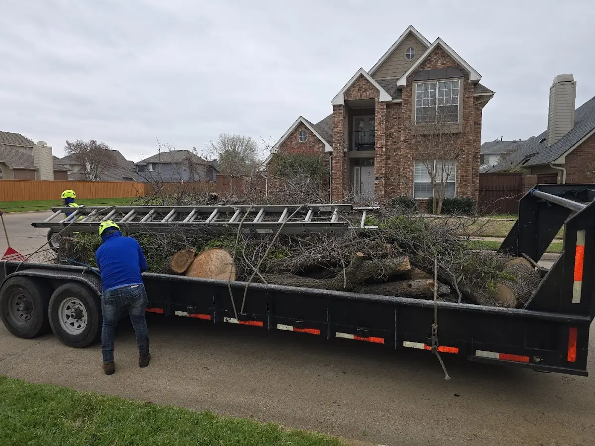 Expert Crown Reduction with proper safety equipment in Mulvane